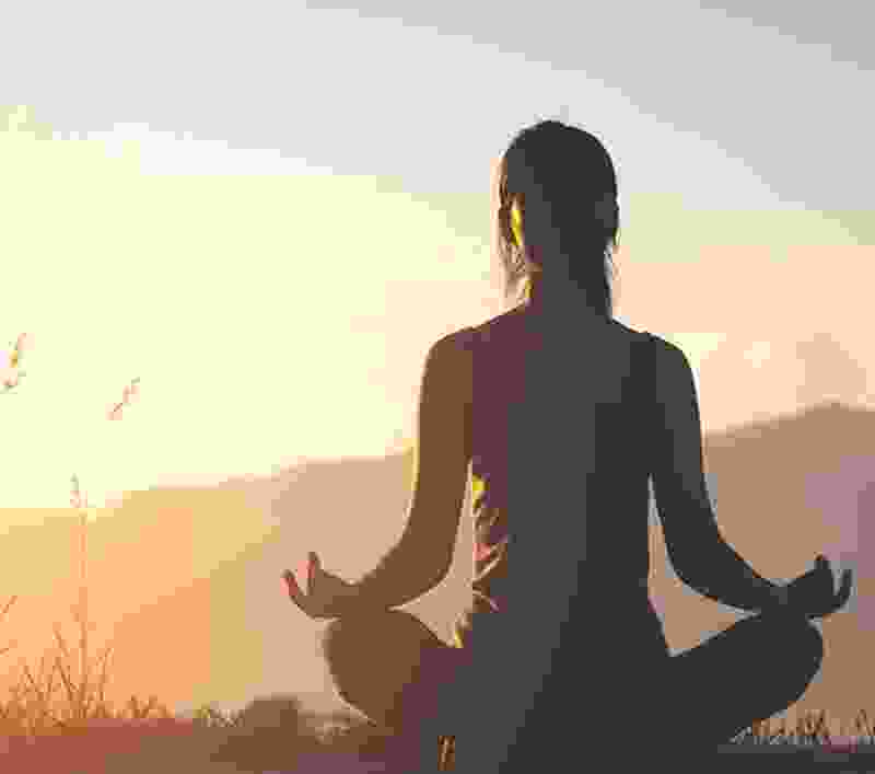 Tropical minds wellness